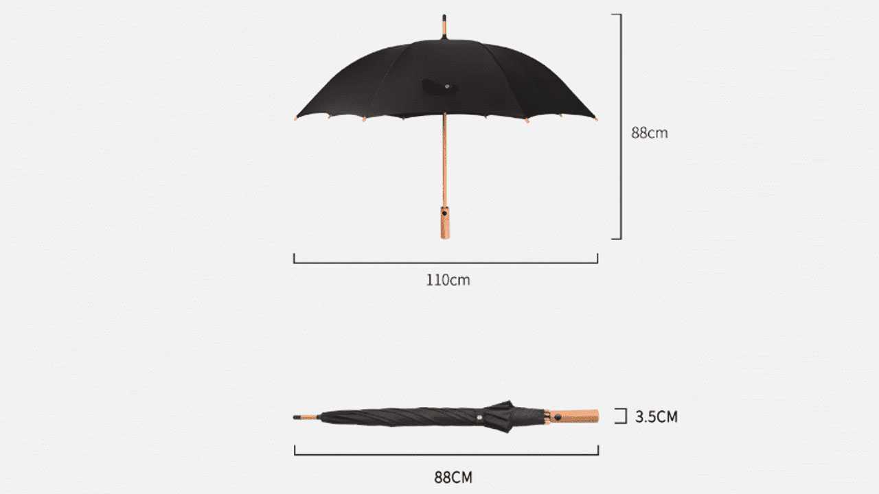 12 лучших зонтов тростей - рейтинг 2021