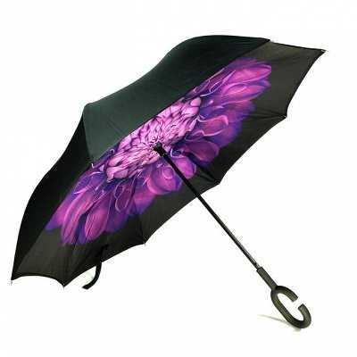 Дорогие зонты