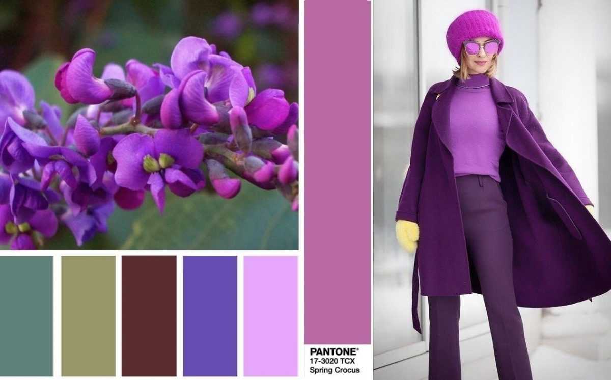 Фиолетовый цвет в одежде, сочетание - 230 фото - 2022