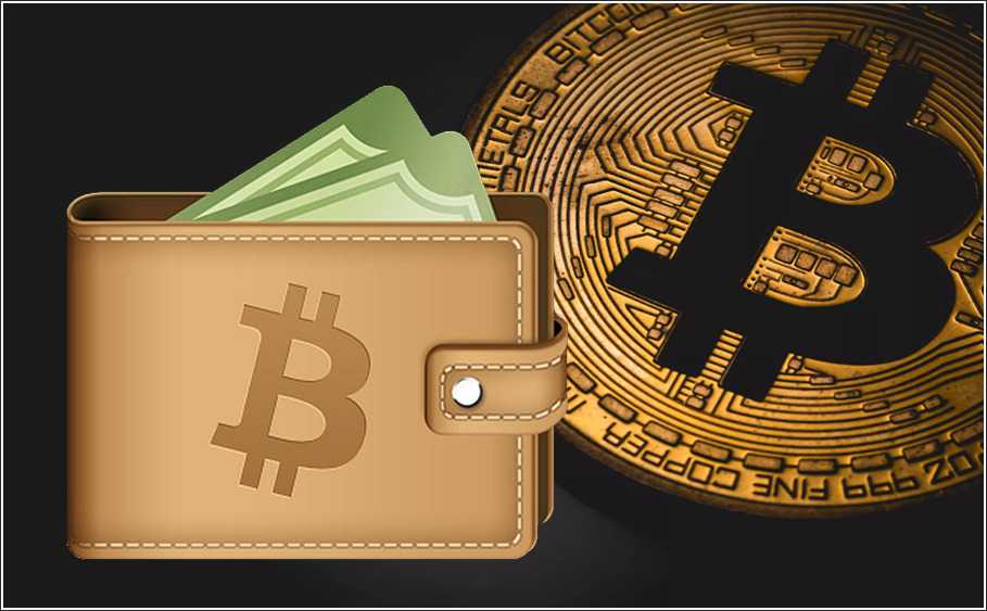 best bitcoin wallet for new users