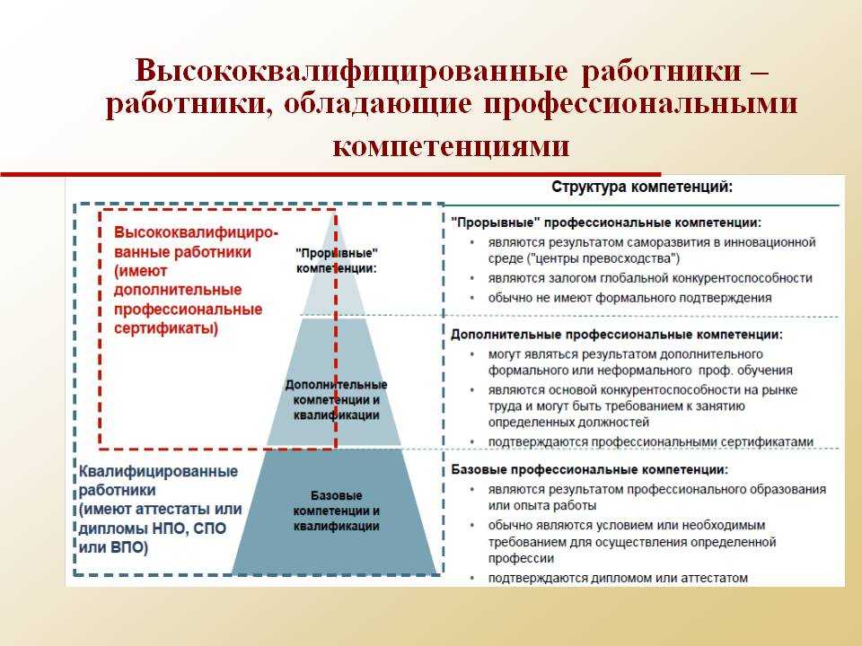 Высококвалифицированный специалист: особенности, характеристики и требования :: businessman.ru