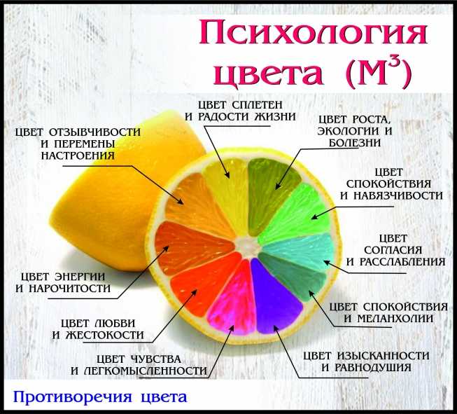 Советы по подбору цвета: какой цвет сочетается с голубым? :: syl.ru