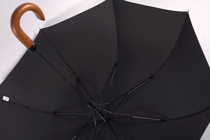 Рейтинг лучших мужских зонтов в 2022 году по мнению редакции zuzako